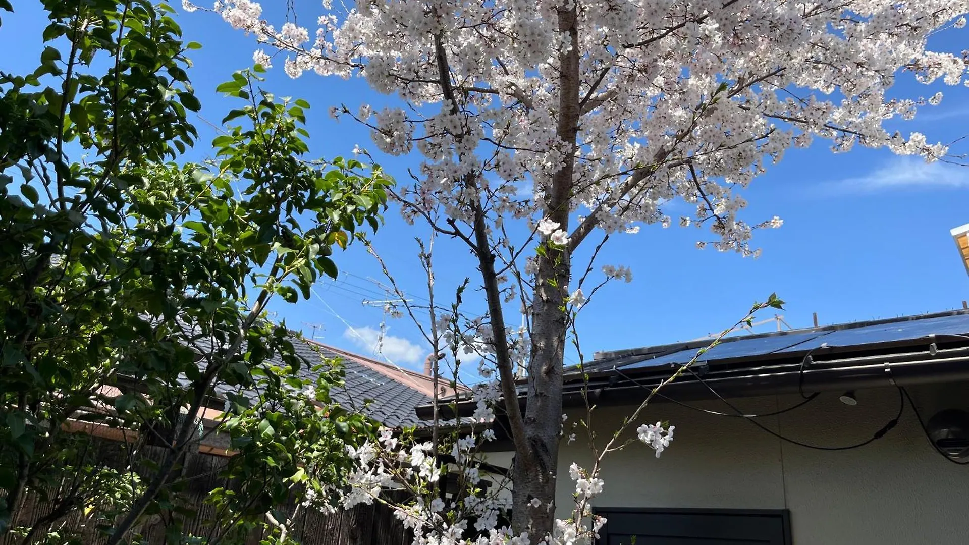 Holiday home Nishijin No Sato 西陣之郷 -100 Yrs Smart & Sustainable Ai Arthouse With 10Gbps Wifi - Villa Kyoto Japan