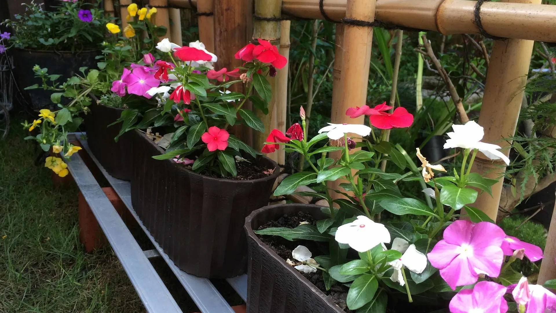Holiday home Nishijin No Sato 西陣之郷 -100 Yrs Smart & Sustainable Ai Arthouse With 10Gbps Wifi - Villa Kyoto Japan
